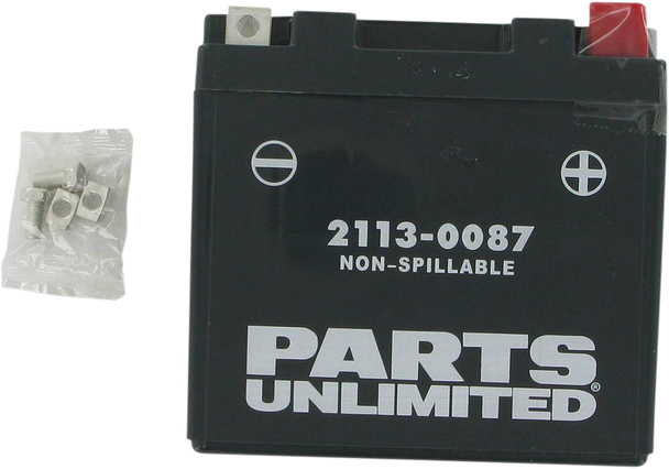 PARTS UNLIMITED AGM Battery - YTZ7S CTZ7S