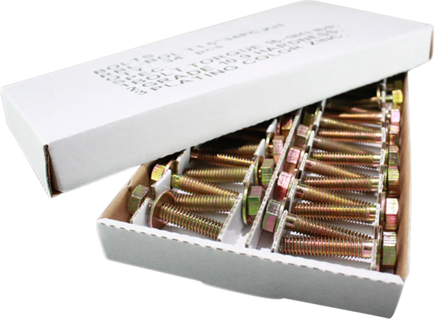RACELINE WHEELS Bolt Kit - 5/16"-18 - 1" RBL-BOLT1" 20PCS. KI