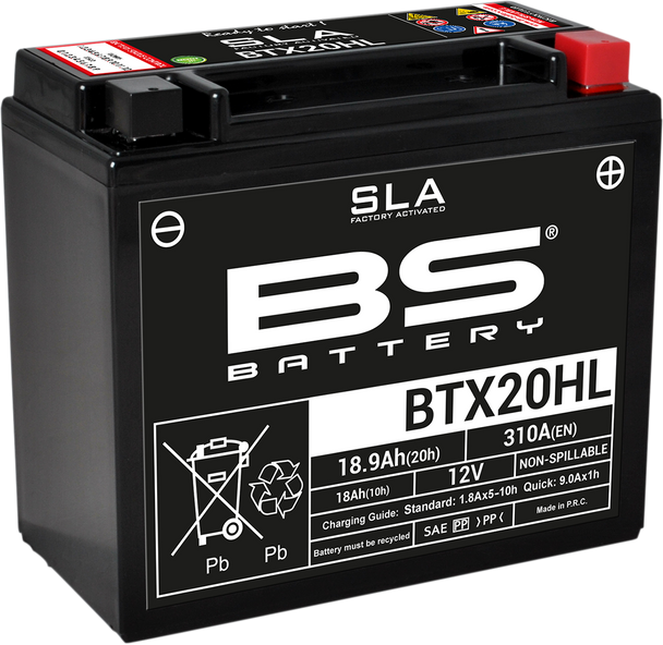 BS BATTERY Battery - BTX20HL (YTX) 300689