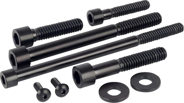  FIGURATI DESIGNS Bolt Kit - Engine - Titanium/Black - M8 FD100-M8-TBOLT-BLK 