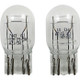 Dirt Bike Light Bulbs