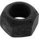 Pinion Nuts