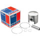 Snowmobile Piston and Ring Kits