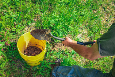 Get Your Soil Right!