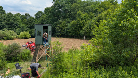 Should You Hunt On Your Food Plots?