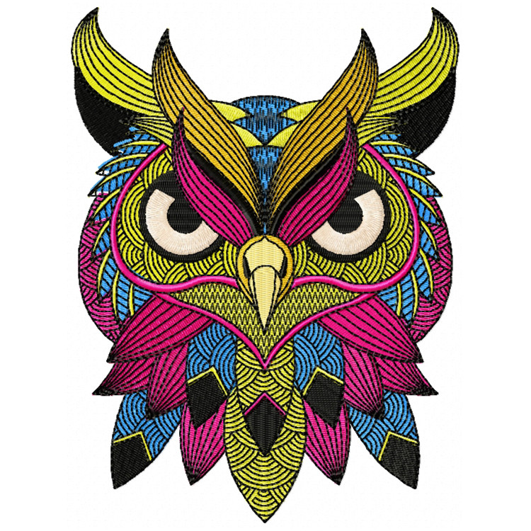 Detailed Owl Face B