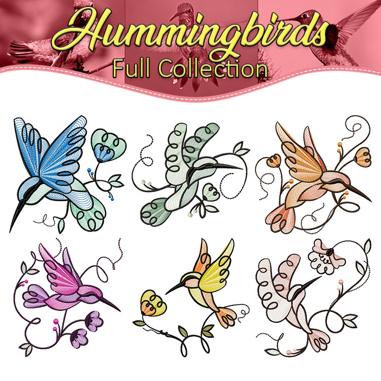Machine Embroidery Designs - Hummingbirds Collection of 6