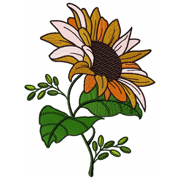 Detailed Sunflower #03