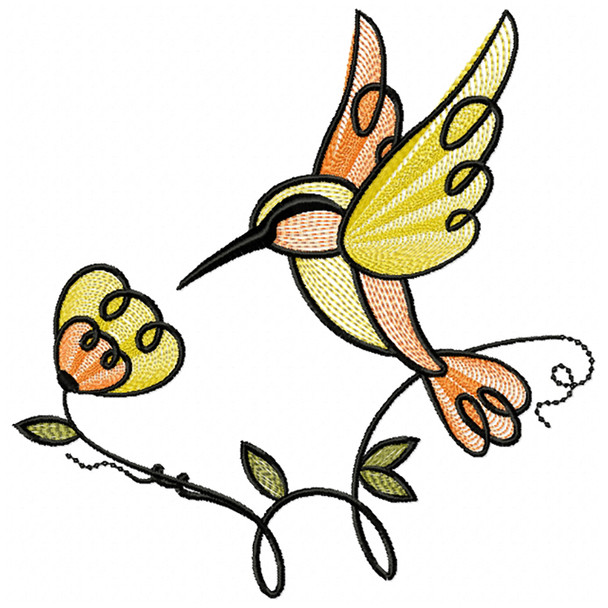 Hummingbird #05