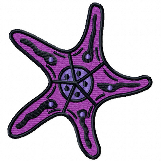 Starfish #12 Machine Embroidery Design