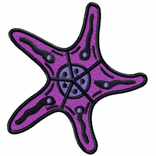 Starfish Top