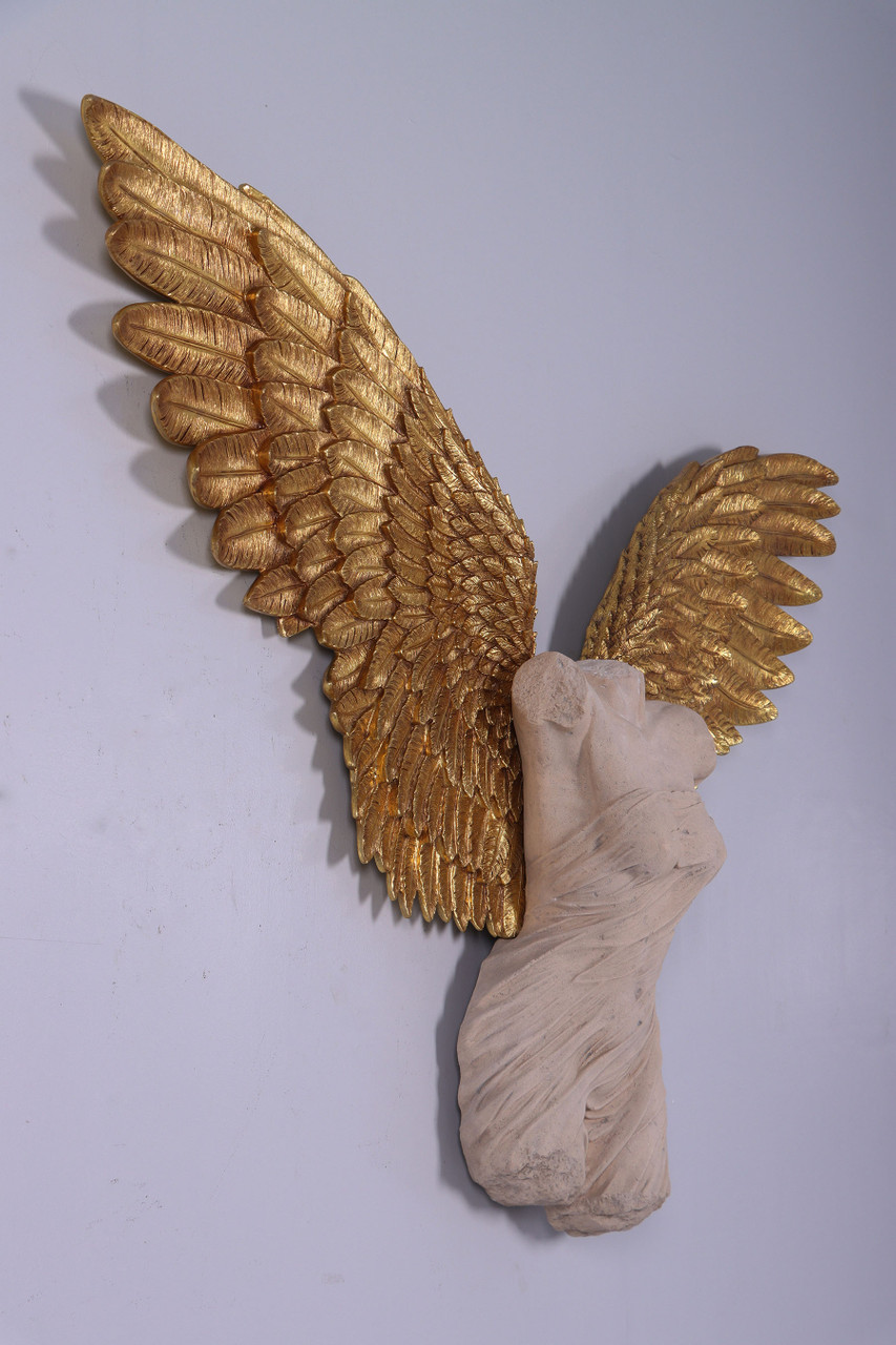 Azaz Angel - AFD Home