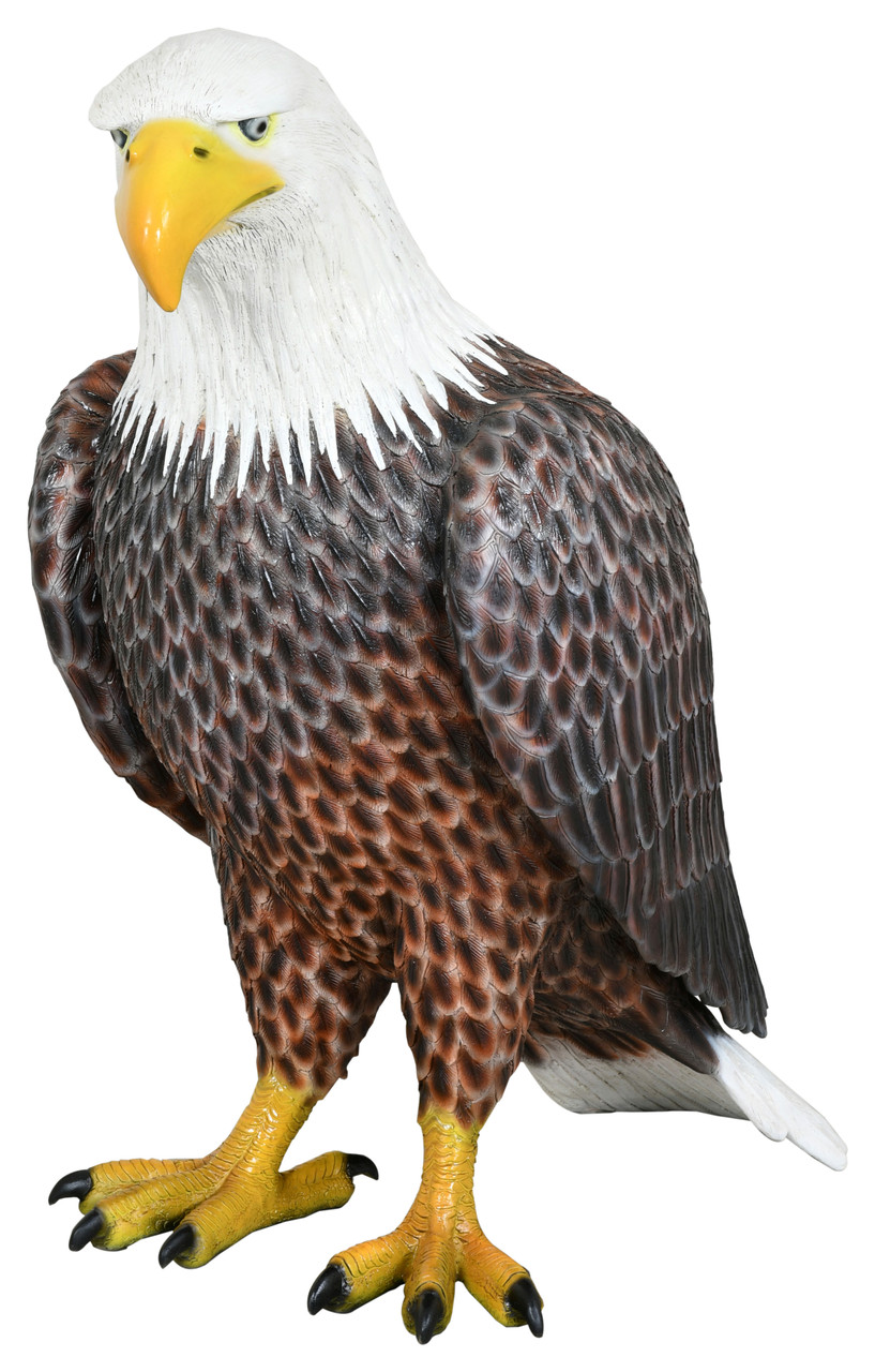 American Bald Eagle 40 inches - AFD Home