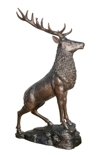 12019584.jpg