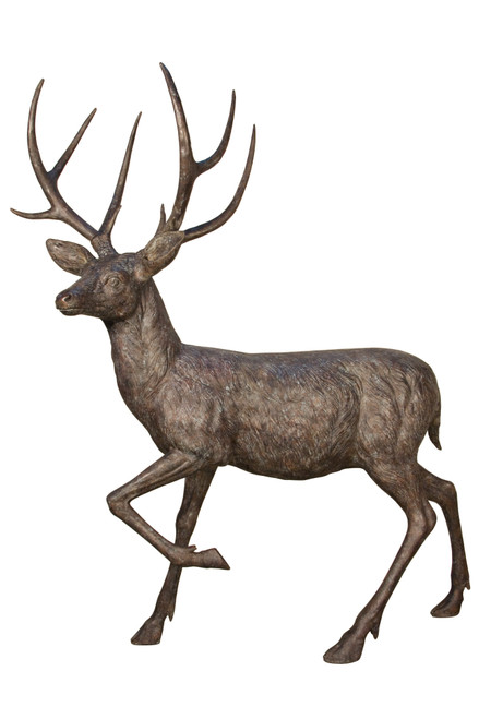 12019585.jpg