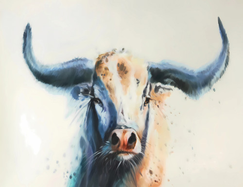 Gallery Wrap White Cow Giclee 36x48