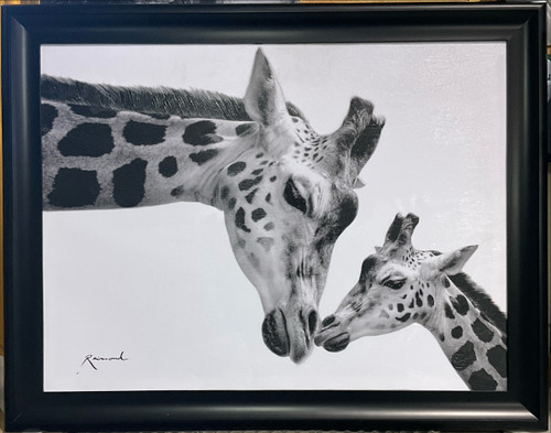 Framed Mother Giraffe with Baby Giclee 36x48