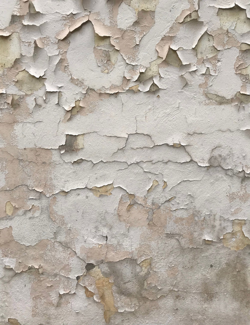 Peeling White Patch Gold Leaf Giclee 36x48