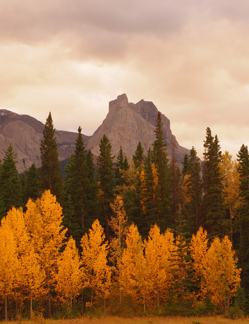 Autumn Mountain View Giclee 36x48