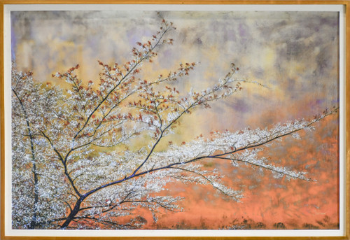 Framed Blossoms Giclee 48x72