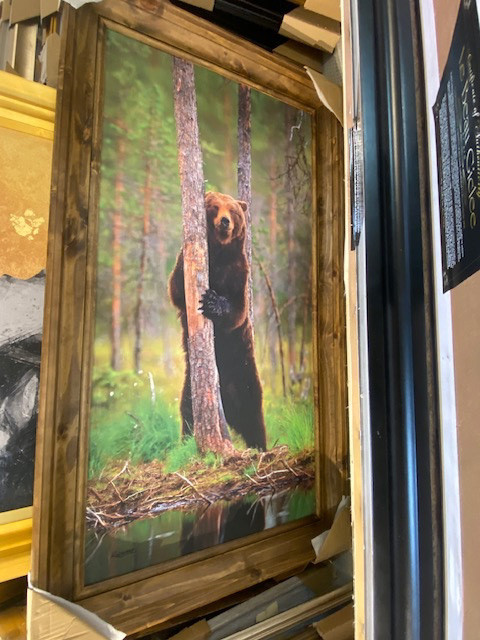 Framed Bear behind a Tree 36x72
