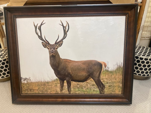 Framed Deer Giclee 36x48