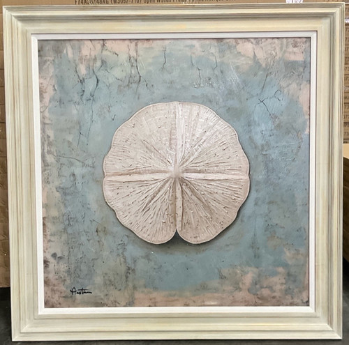 Sand Dollar Framed Giclee