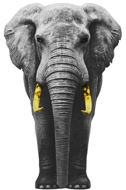 Large Elephant Acrylic Wall Decor