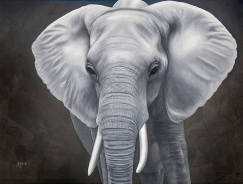 AFD Elephant Art 36x48