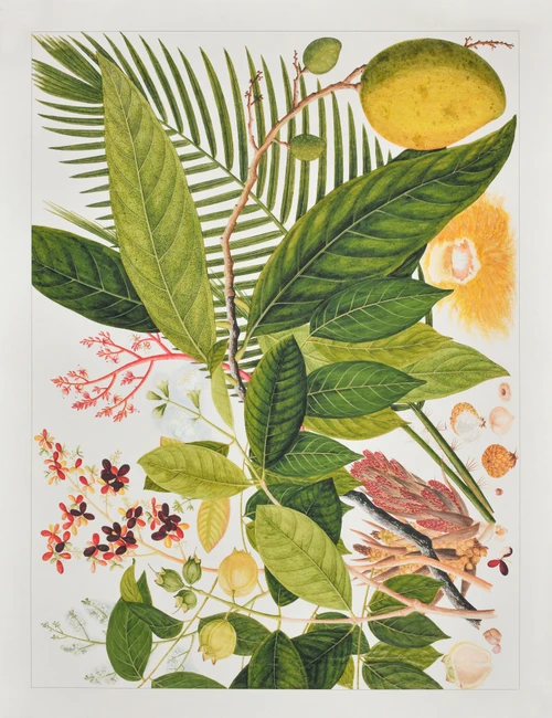 Tropical Botanical Giclee