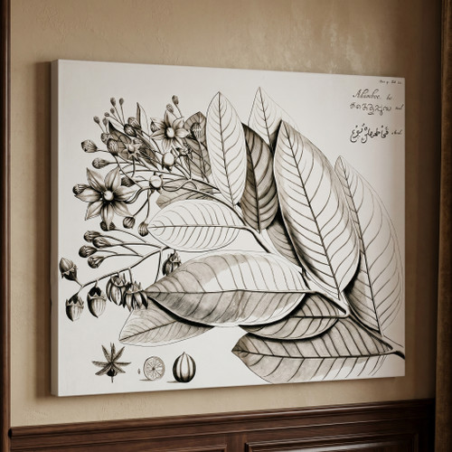 Vintage Botanical II Giclee