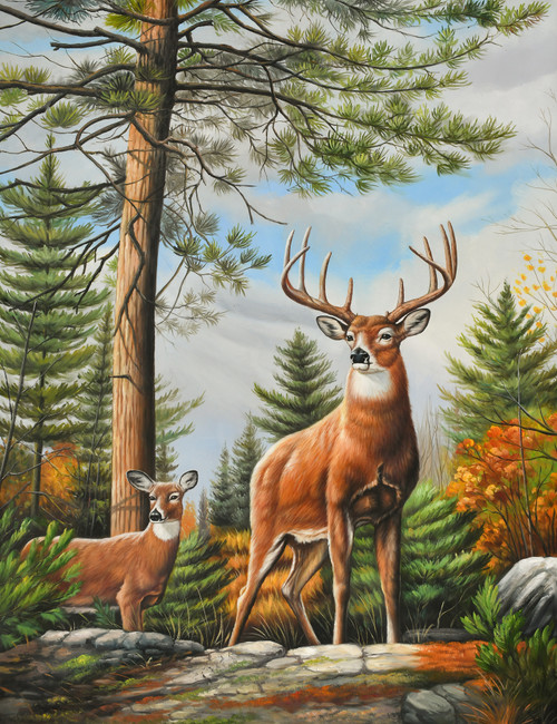 Woodland Stag and Doe Deers in the Forest Giclee