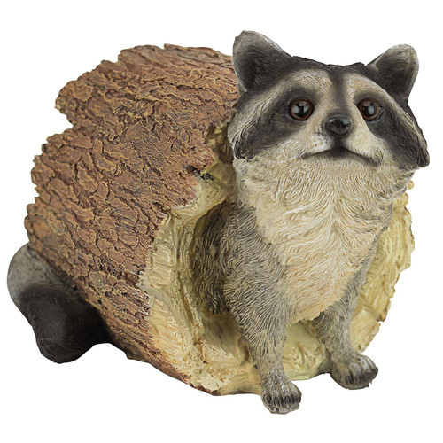 Woodland Peek a Boo Racoon Statue