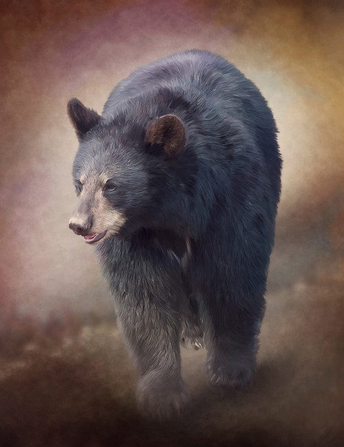 Bear Walking in Mist Giclee