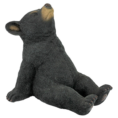 Stargazing Black Bear Cub