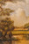 12006049.jpg