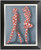 12003340.jpg