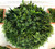 Round Greenery Wall 2      (PER METER)