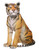 12019556.jpg