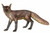 12019576.jpg