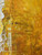 Yellow Giclee 3