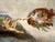 Creation of Adam Giclee 36x48