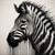 Black and White Zebra Giclee 40x40