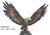 144 inch Wing Span Pair of Bronze Eagles