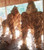 Majestic Teak Root Walking Gorilla Sculpture