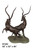 Bronze Two Deers