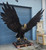 Bronze Eagle Turn Right