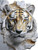 EYE Of The Tiger Acrylic Wall Decor