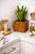 Medium Teak Wood Square Planter