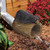 Resting Black Bear Downspout Cover